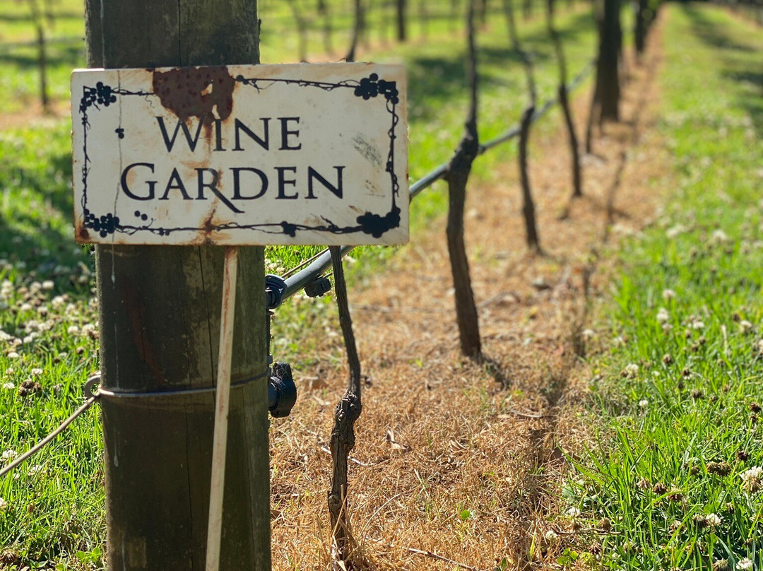 Witches Falls Winery-丹百林山必去景点