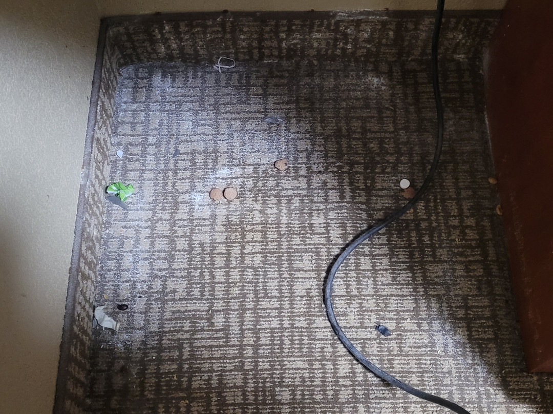 Comfort Inn & Suites主图