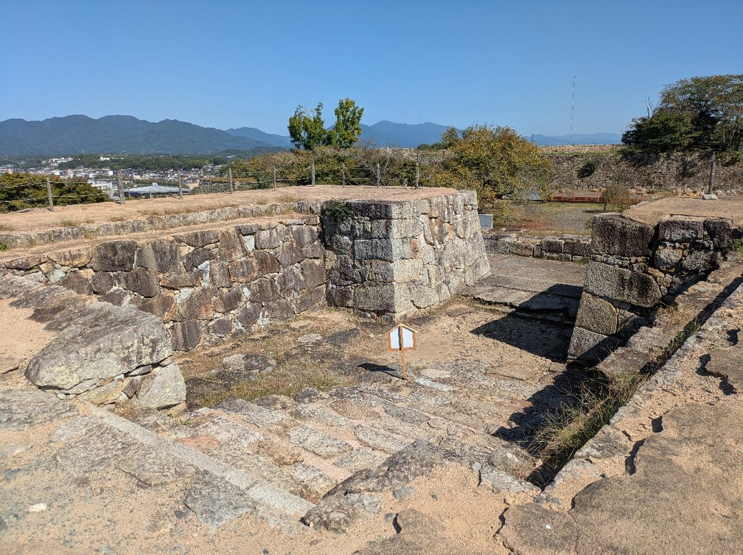 Tsuyama Castle (Kakuzan Park)-津山市必去景点