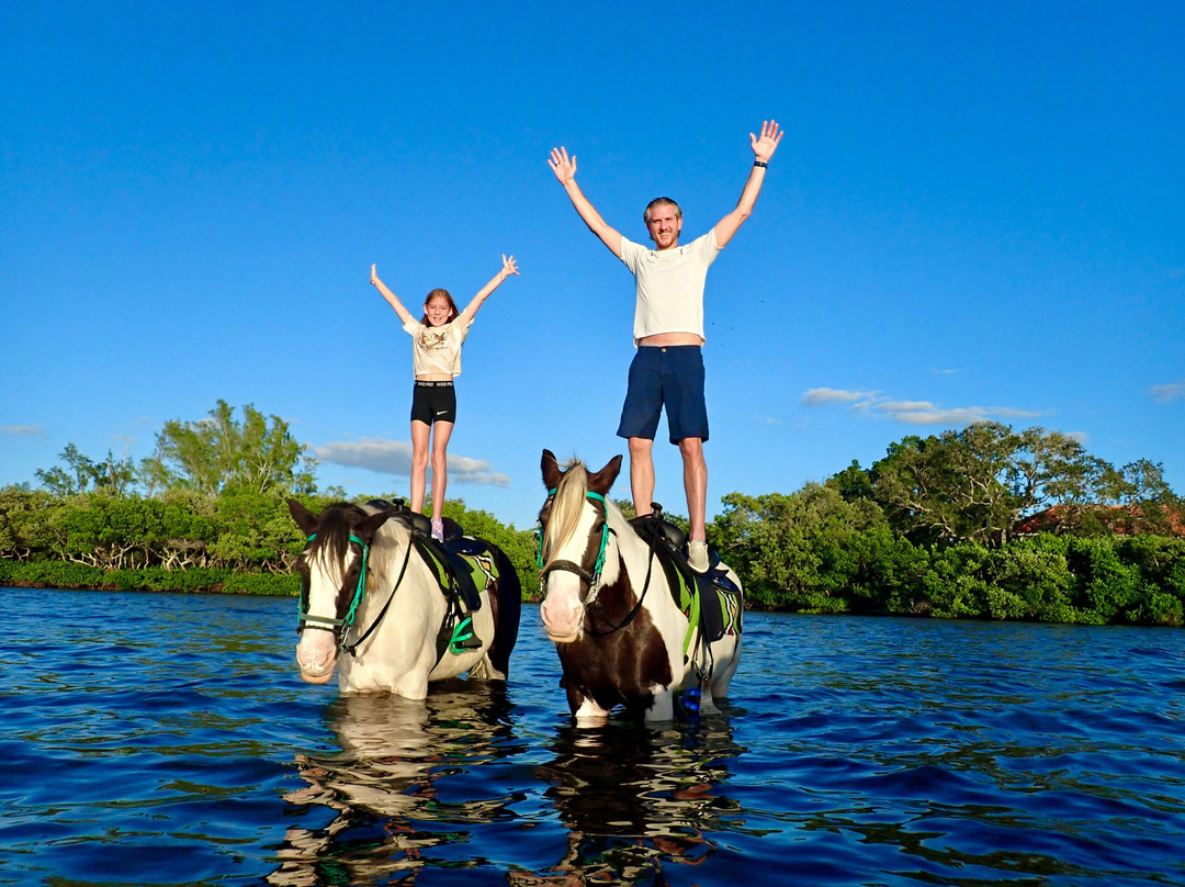 C Ponies Beach Horseback Rides-布雷登顿必去景点