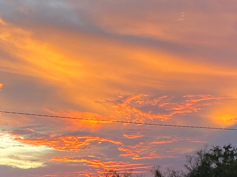 Nungi Safaris-恩德培必去景点