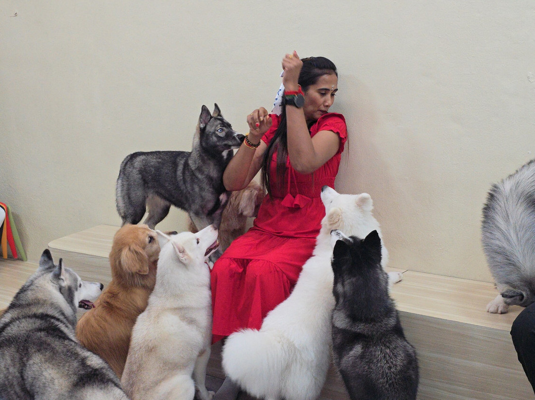 Hahahusky-马六甲必去景点