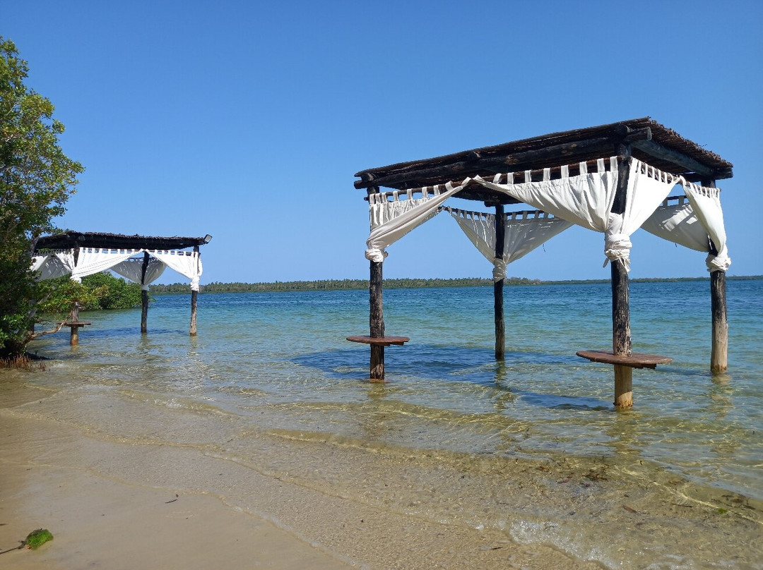 Rhino Africa Safaris-开普敦中心区必去景点