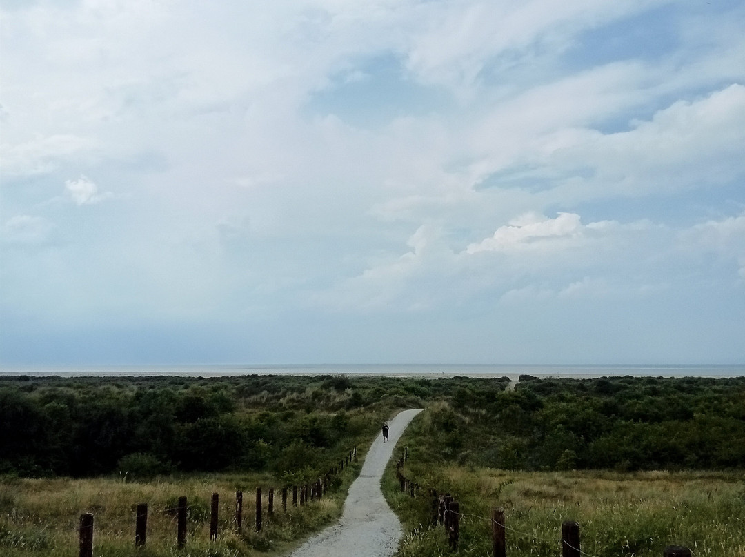 Nationaal Park Schiermonnikoog-Schiermonnikoog必去景点