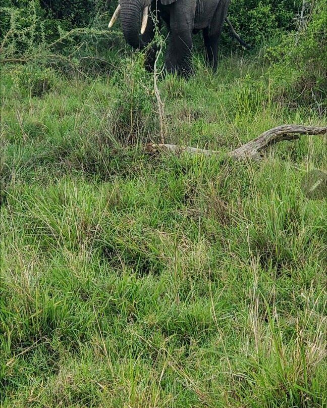 Rwanda Treasure Tours-Kinigi必去景点