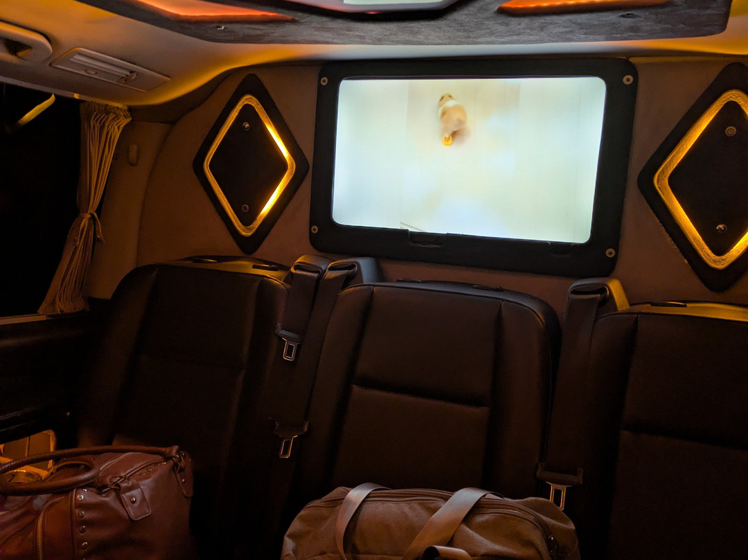 Martı Transfer Airport Havalimanı Vip Transfer Hizmetleri-Dalaman必去景点