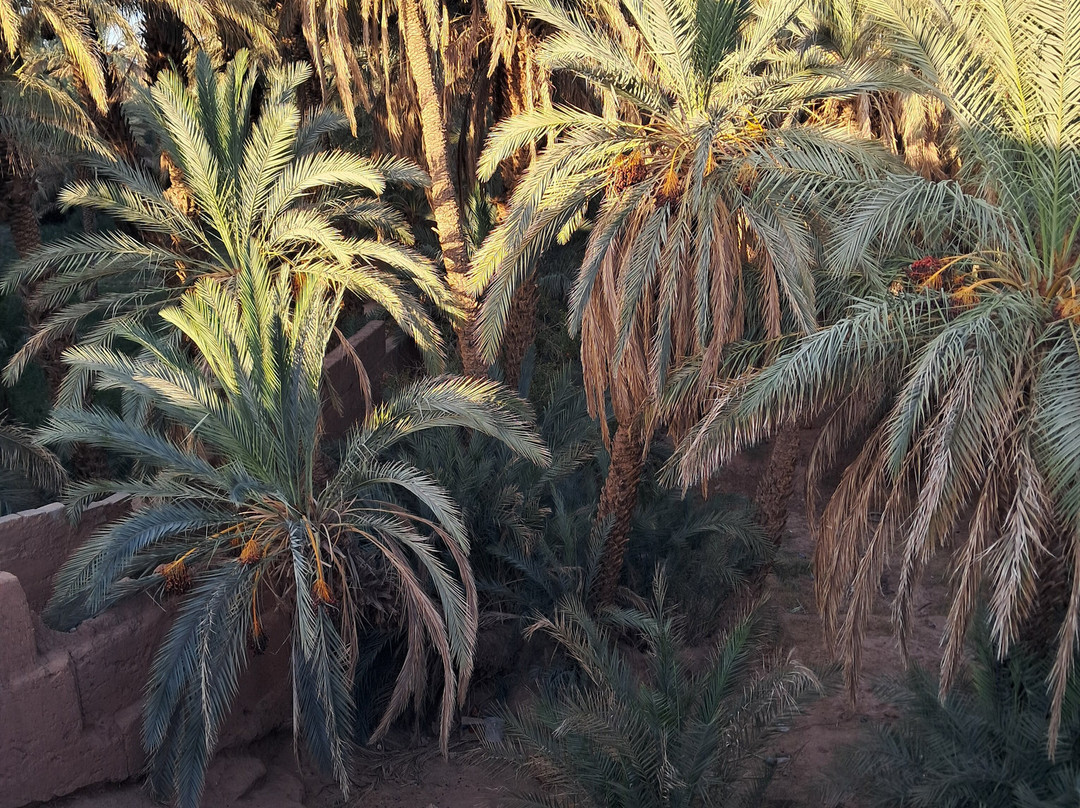 La Petite Kasbah主图