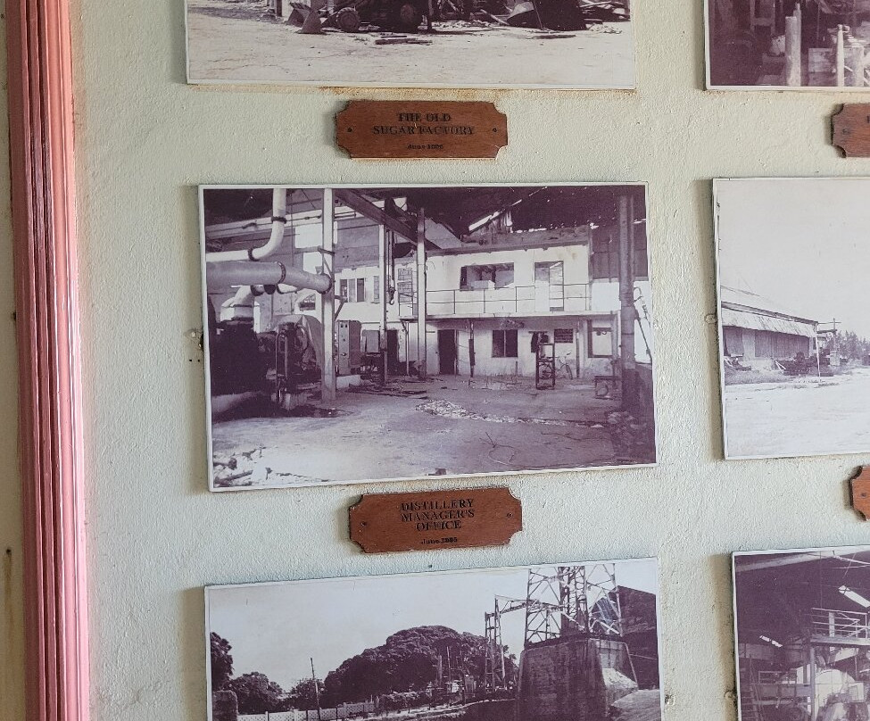 Foursquare Rum Distillery-Saint Philip Parish必去景点