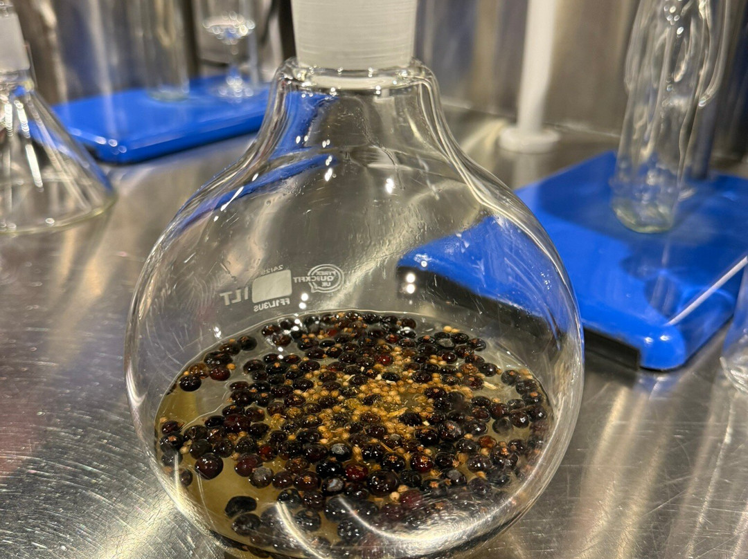 Plymouth Gin Distillery-普利茅斯必去景点