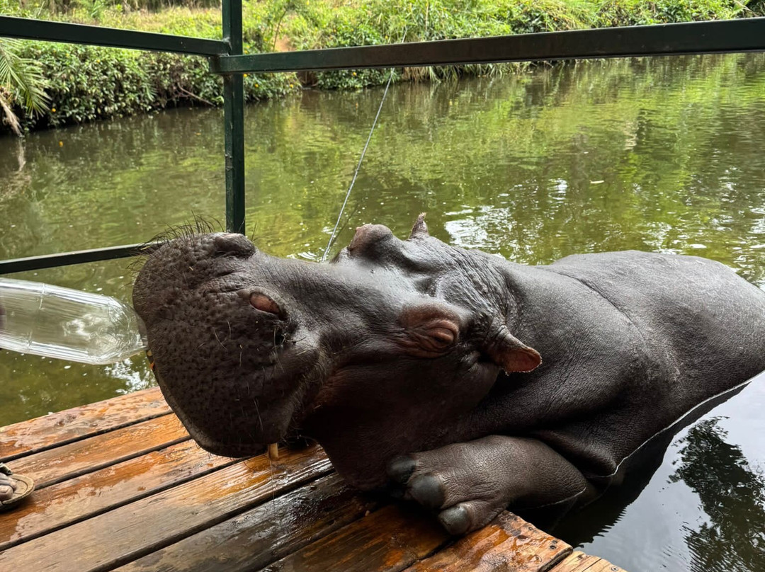 Hippo Jessica-霍德斯普鲁特必去景点