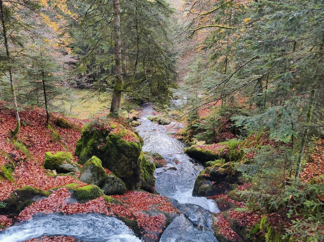 尔姆公寓式酒店主图