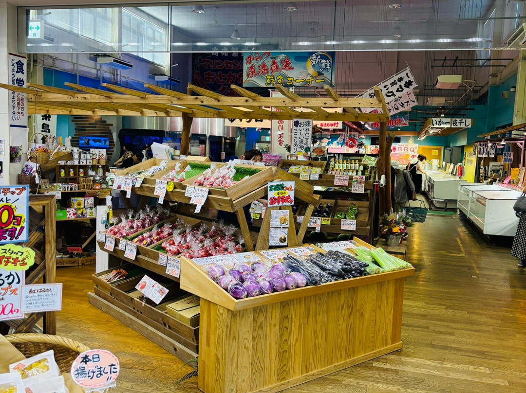 Marine Center Osakanamura-唐津市必去景点