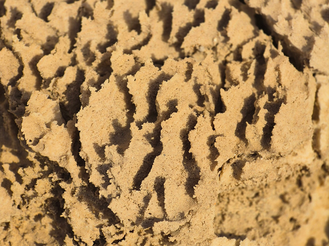 Tiyoolim & Etgarim-Bat Yam必去景点