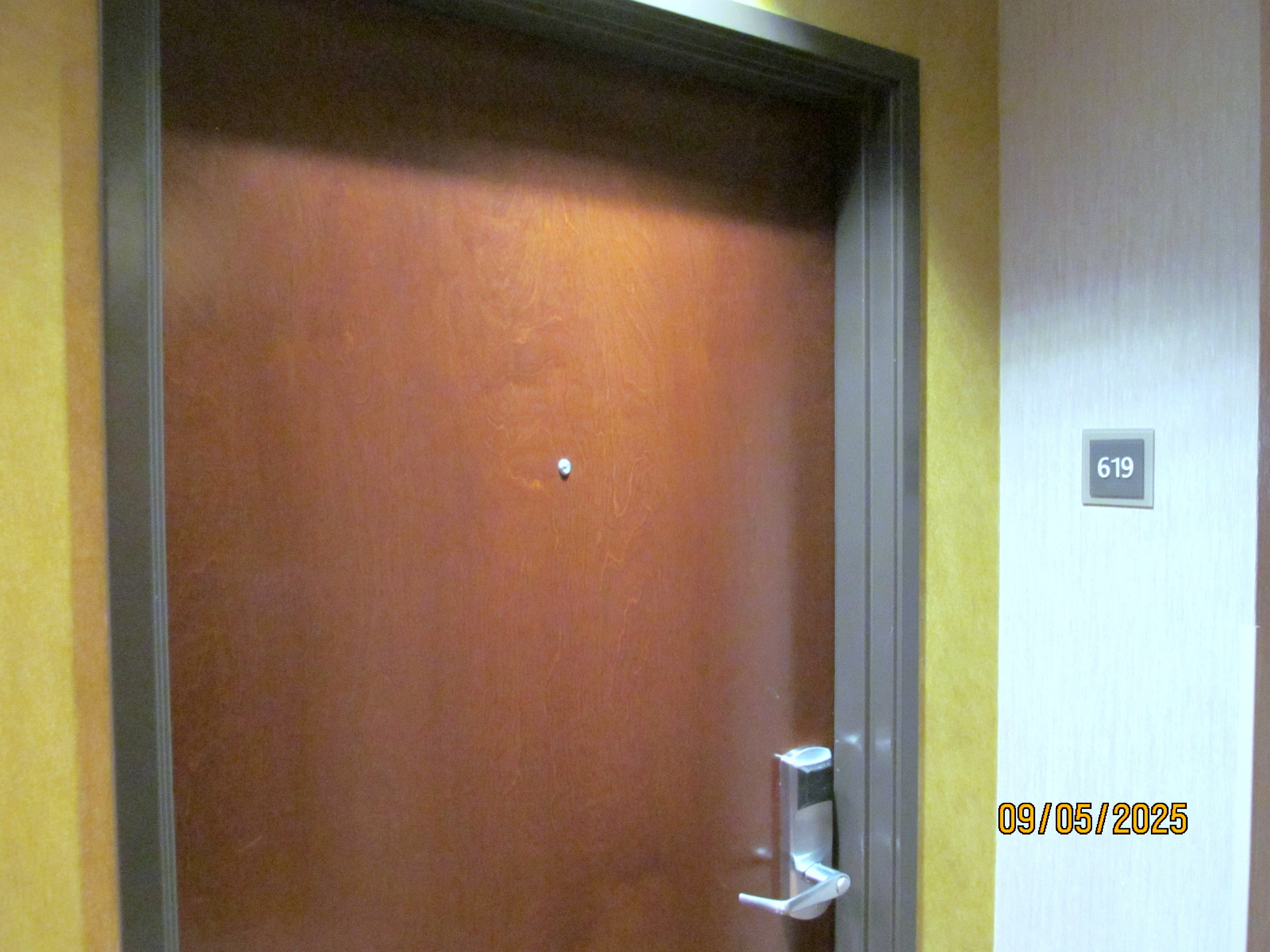 Drury Plaza Hotel Cape Girardeau Conference Center-客卧