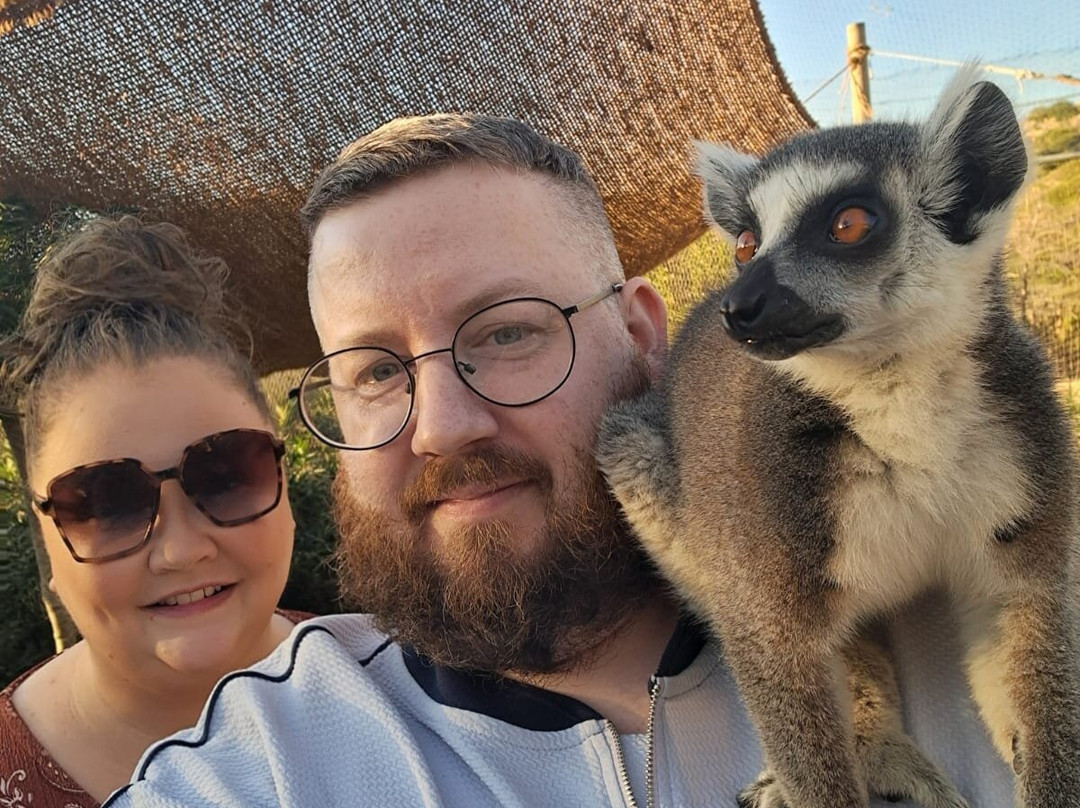 Farma of Rhodes Petting Zoo-罗德斯必去景点