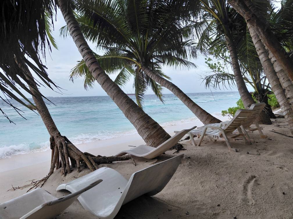 Salt Villa Ukulhas-泳池