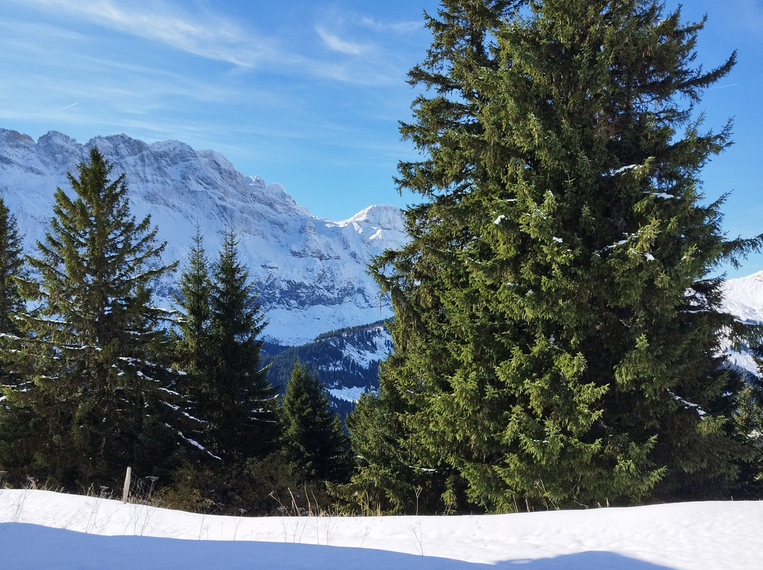 Hotel Plein Ciel主图