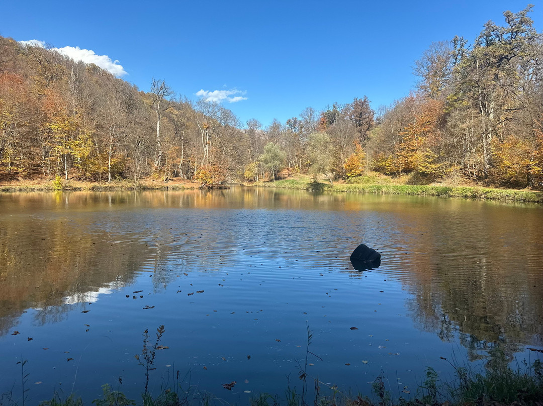 Makho Tours-第比利斯必去景点