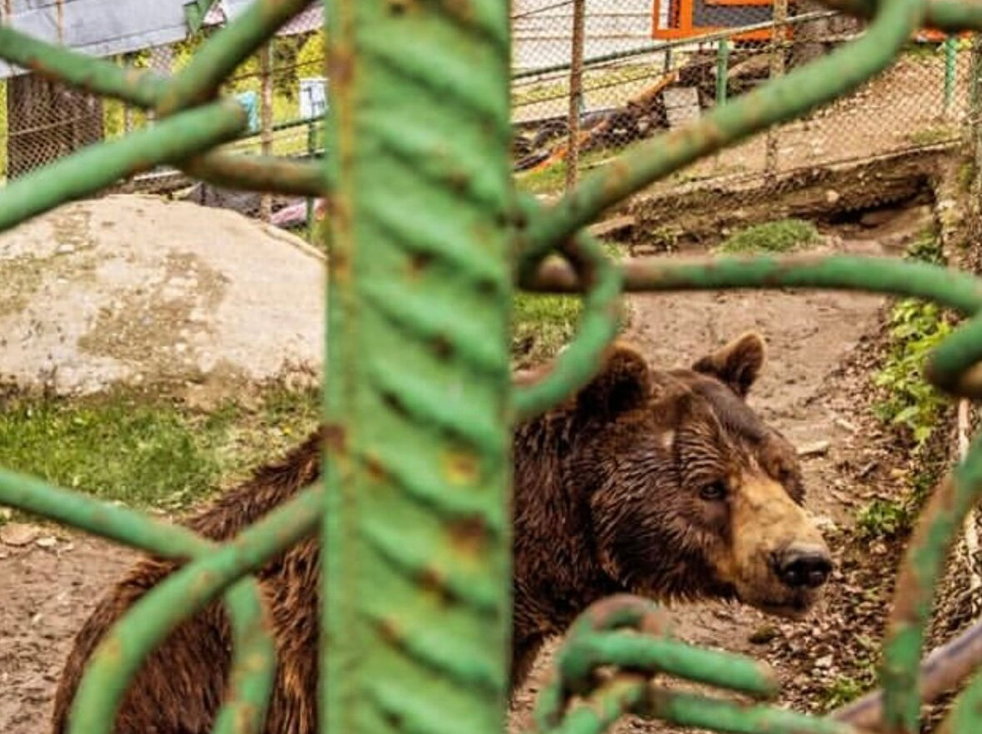 Straja Romania-Lupeni必去景点