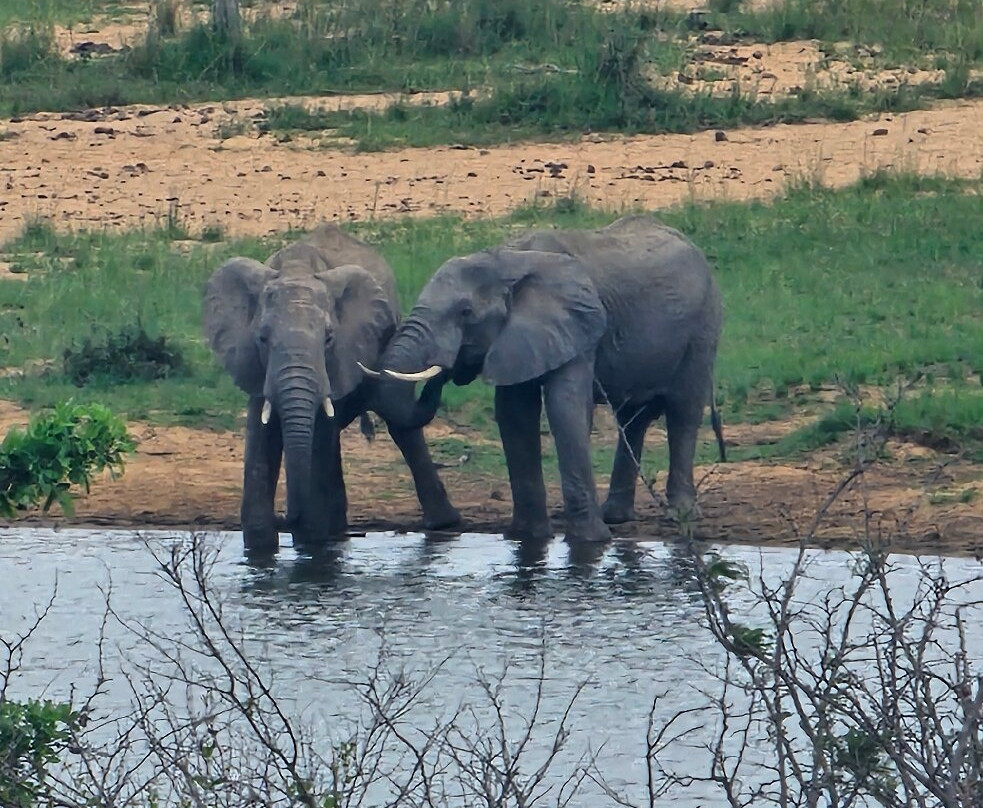 Africa Moja Tours And Safaris-桑顿必去景点