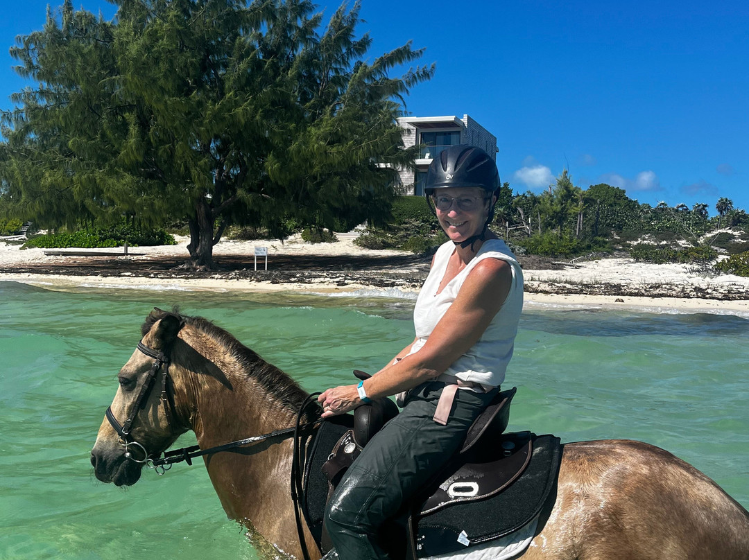 Provo Ponies-Long Bay Hills必去景点