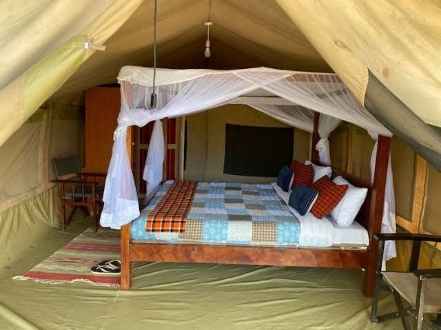 Olenini Safaris-纳罗克必去景点