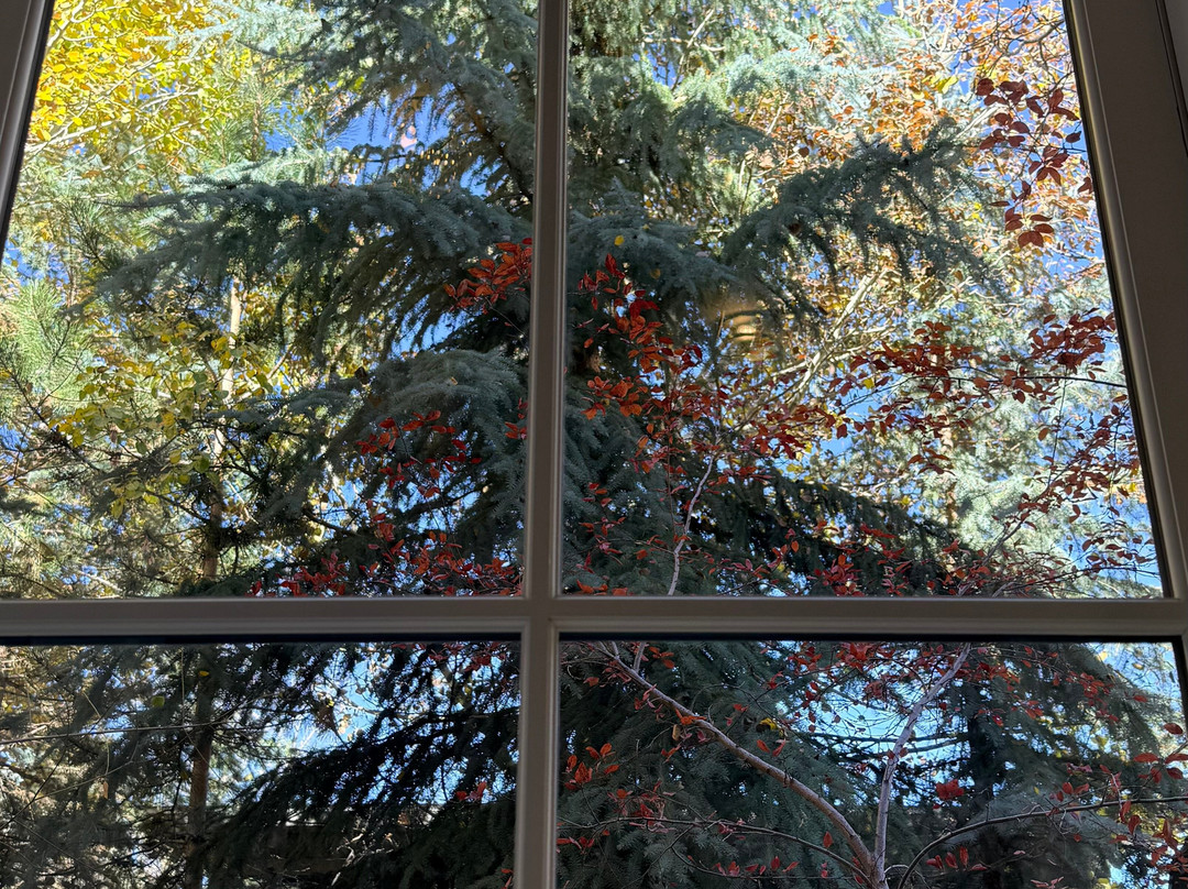 Washington School House Hotel主图