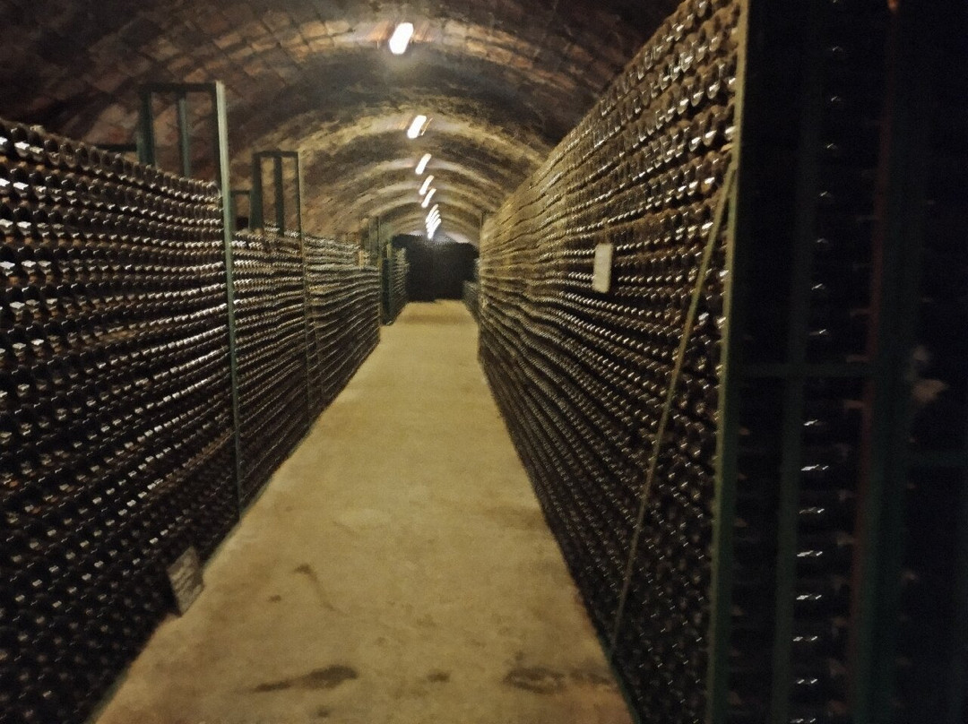 Parés Baltà-Pacs del Penedes必去景点