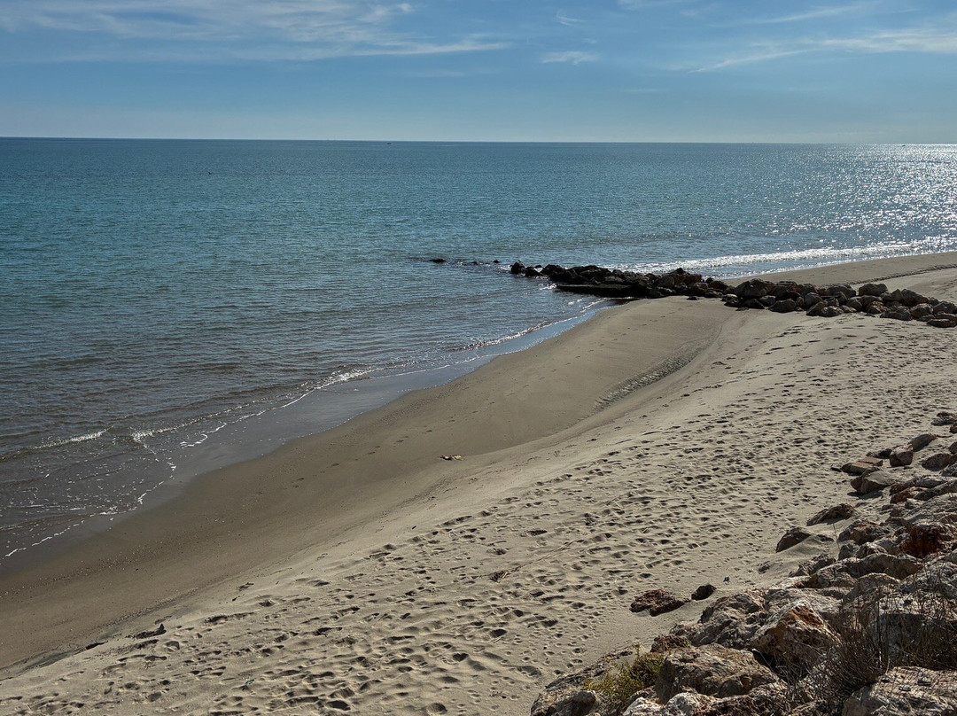 Lido Venere-梅塔蓬托必去景点