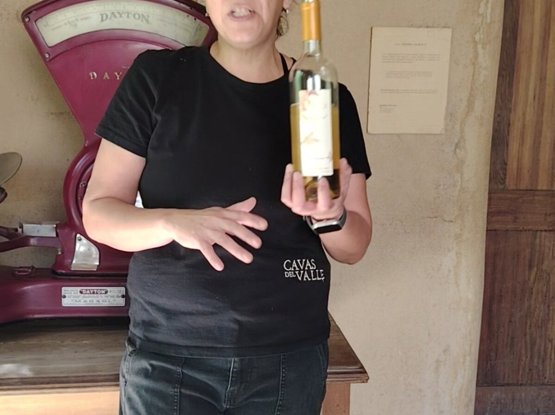 Cavas Del Valle-Monte Grande必去景点