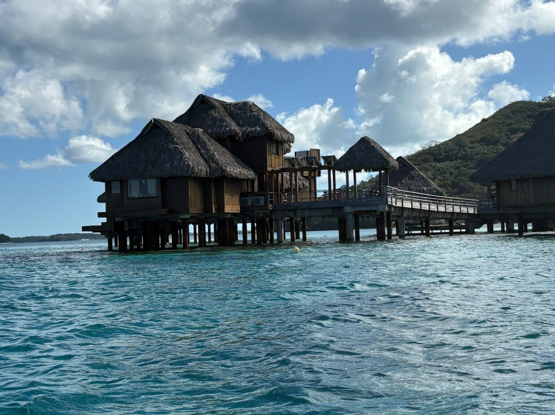 Raanui Tours-瓦伊塔佩必去景点