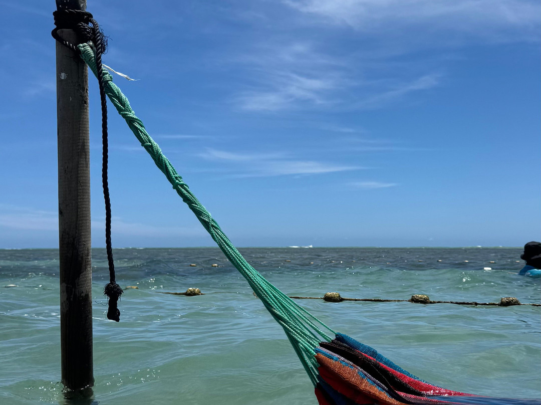 Piscinas Naturais De Pajucara-Maceio必去景点