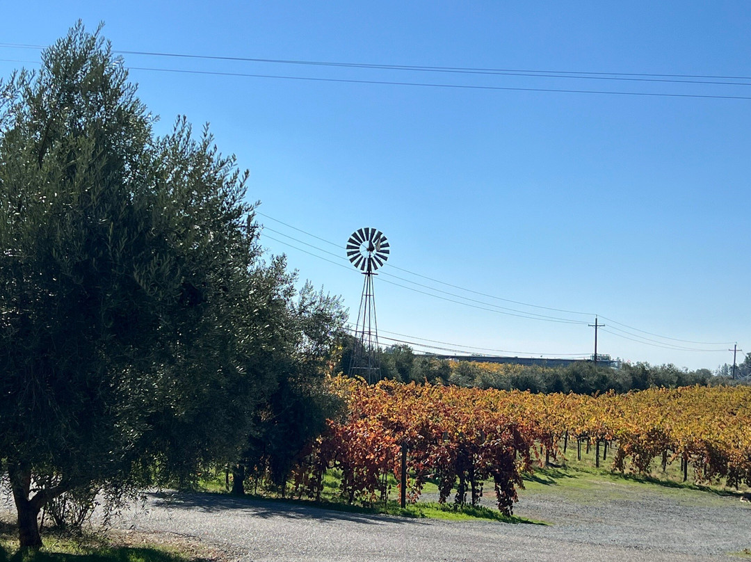 Amador Cellars-Plymouth必去景点