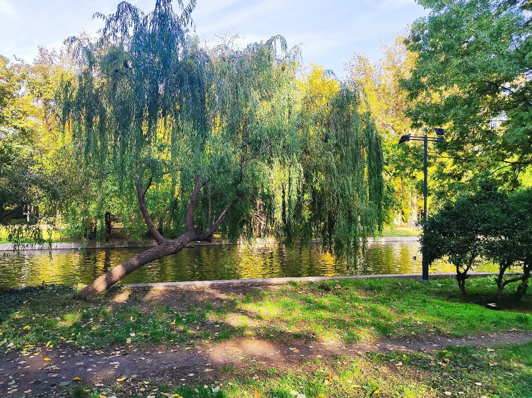 Cismigiu Parc-布加勒斯特必去景点