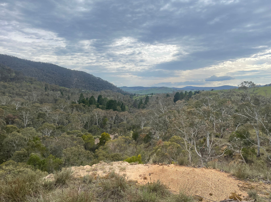Pioneer Lookout-Omeo必去景点