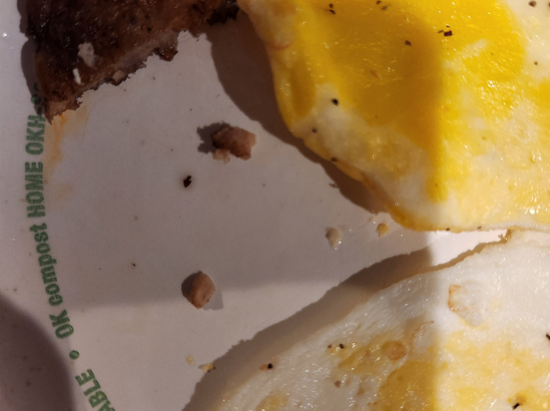 Comfort Inn & Suites Plattsburgh - Morrisonville主图