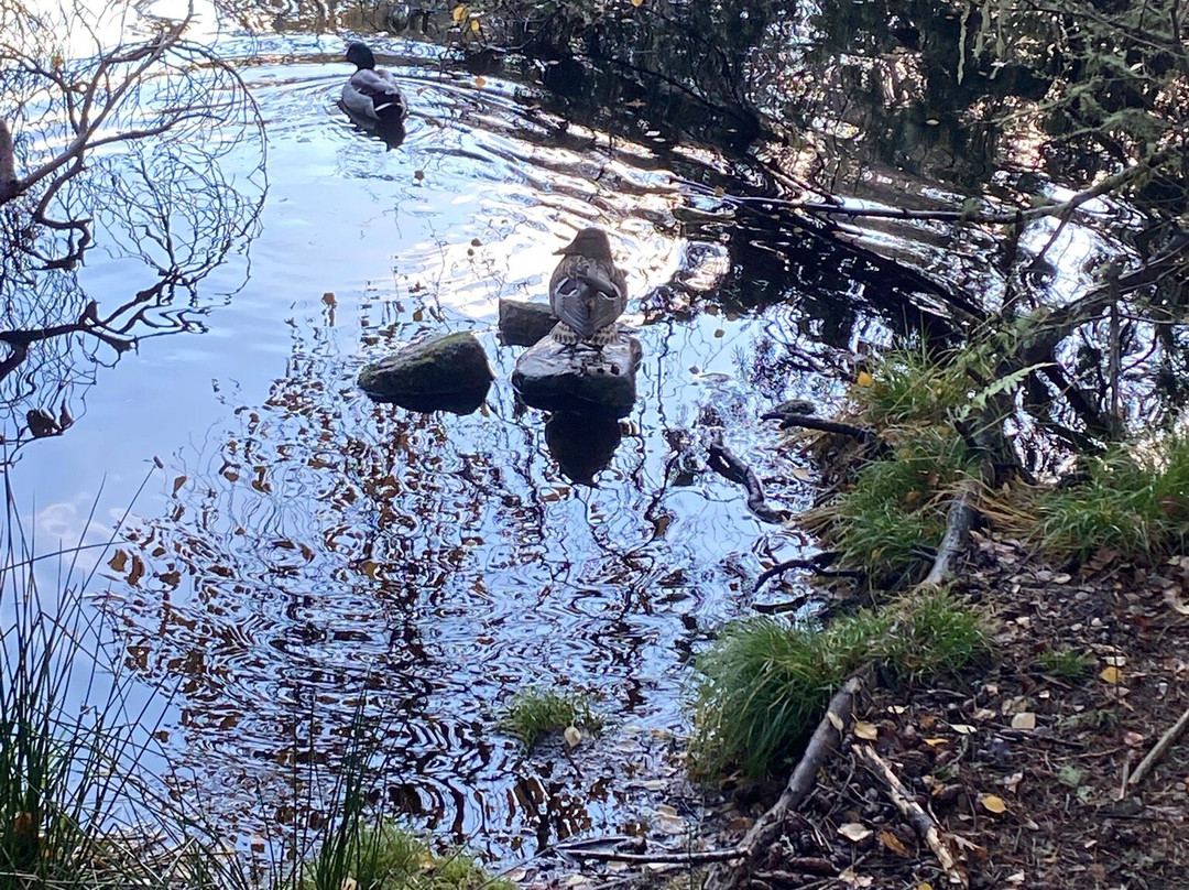 Big Burn Walk-Golspie必去景点
