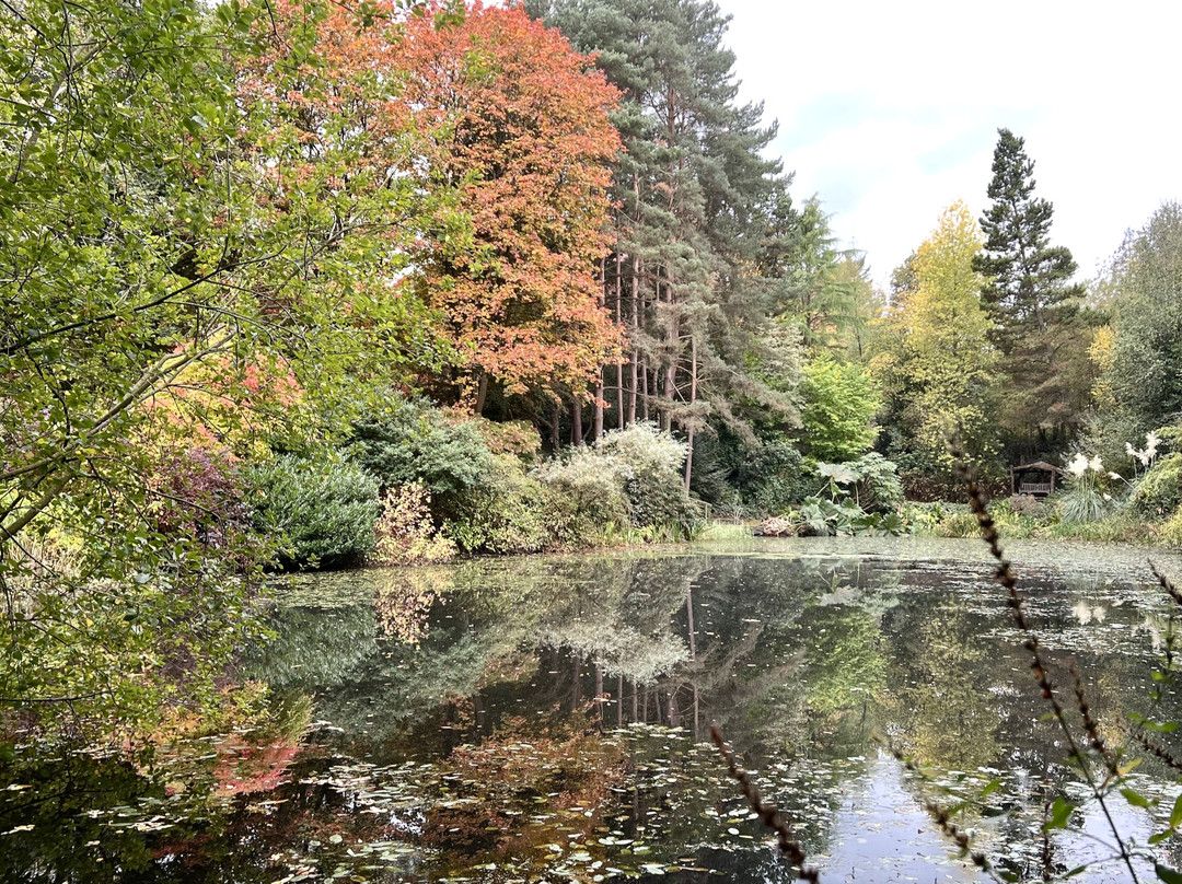 Dingle Nursery And Garden-Welshpool必去景点