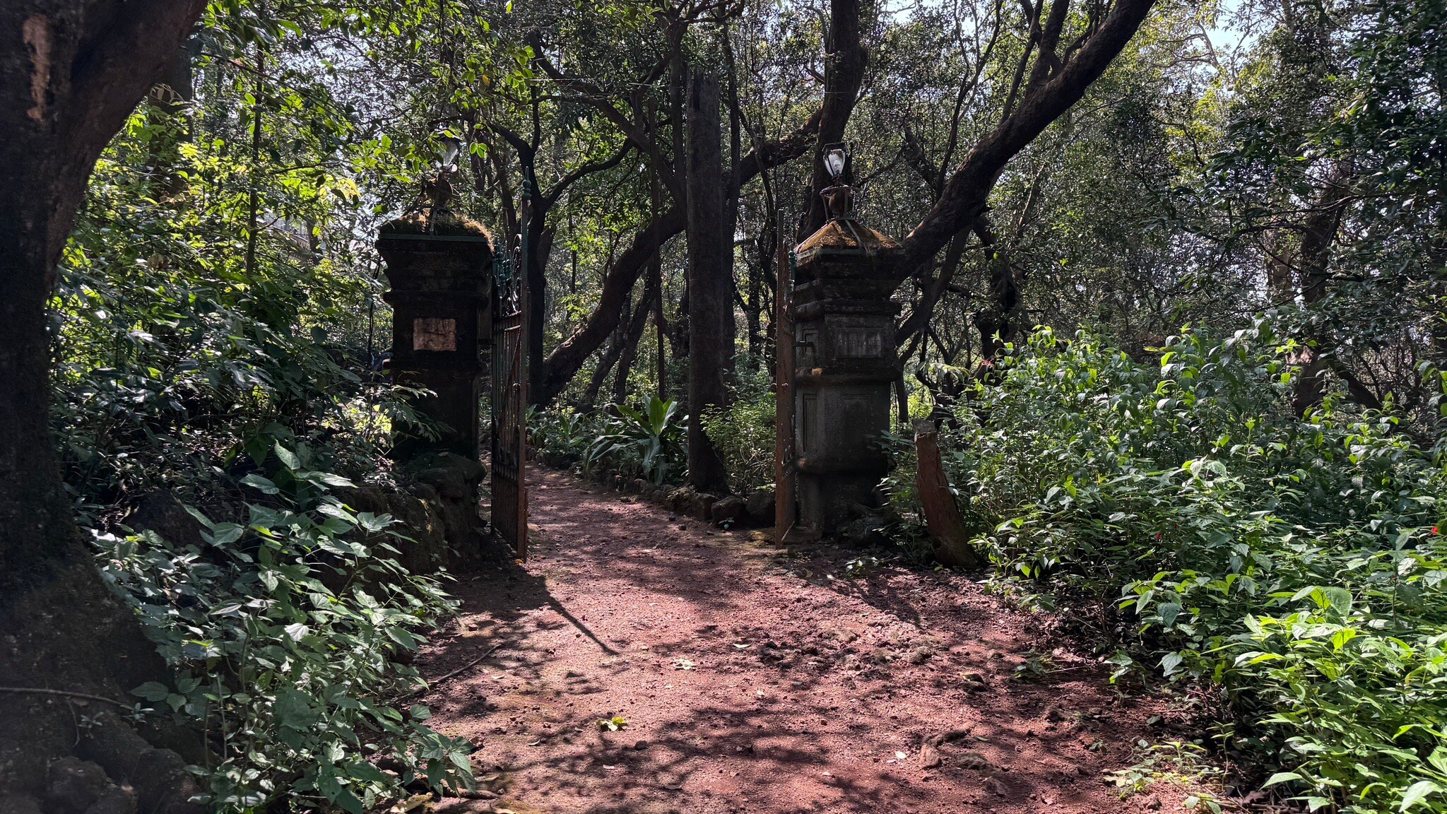 Dune Barr House - Verandah In The Forest-官方