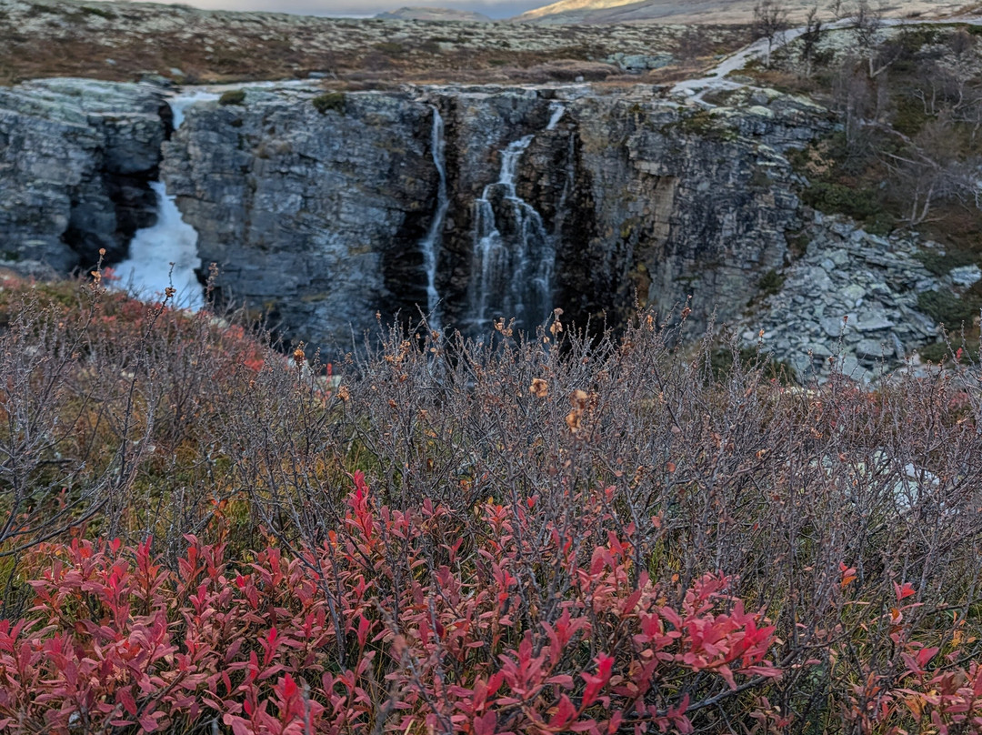 Rondane National Park-Eastern Norway必去景点