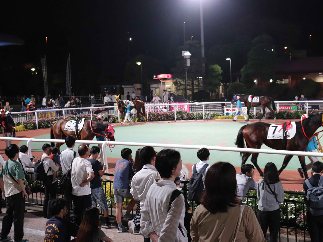 Oi Racecourse-品川区必去景点