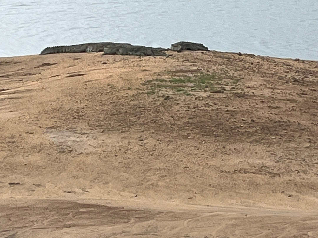 Niluka Safari-乌达瓦拉瓦必去景点