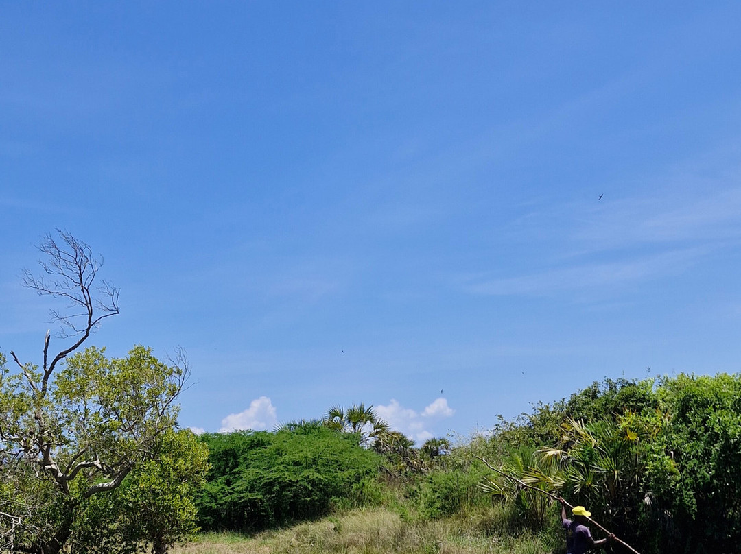 Village Retreat Diani-迪亚尼必去景点