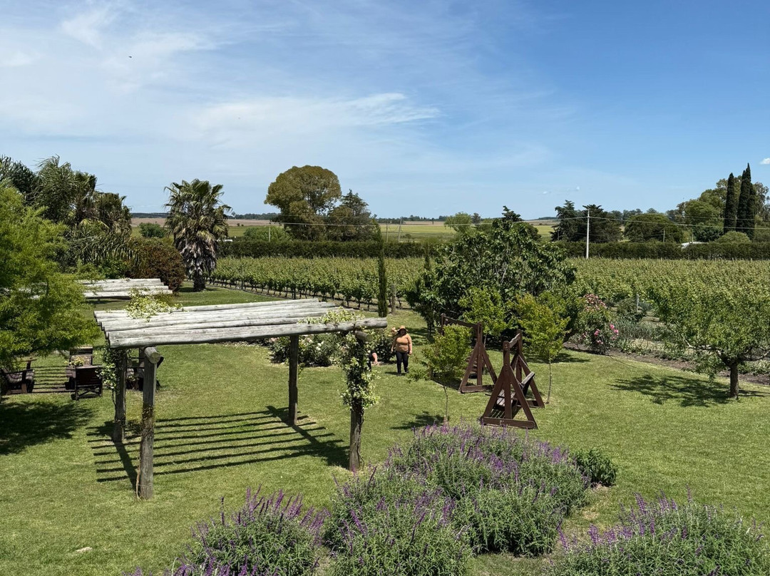 Fripp Viñedos Y Bodega-Conchillas必去景点