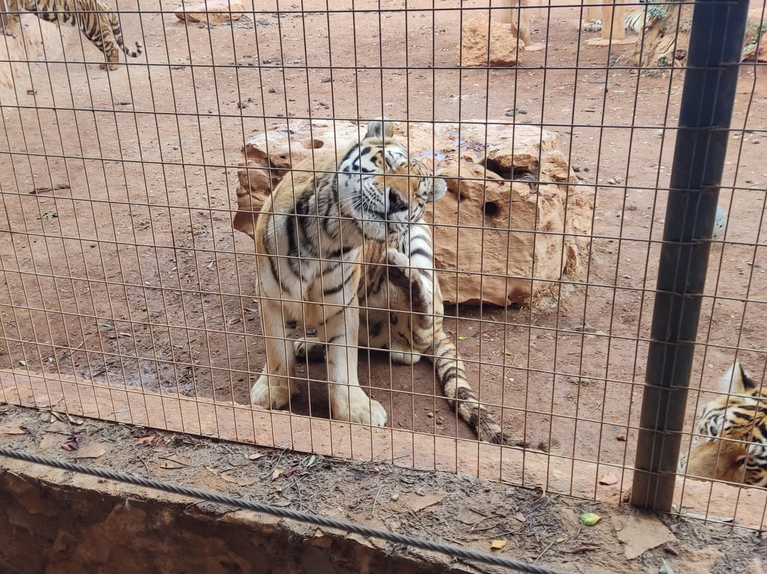 Pafos Zoo-帕福斯必去景点
