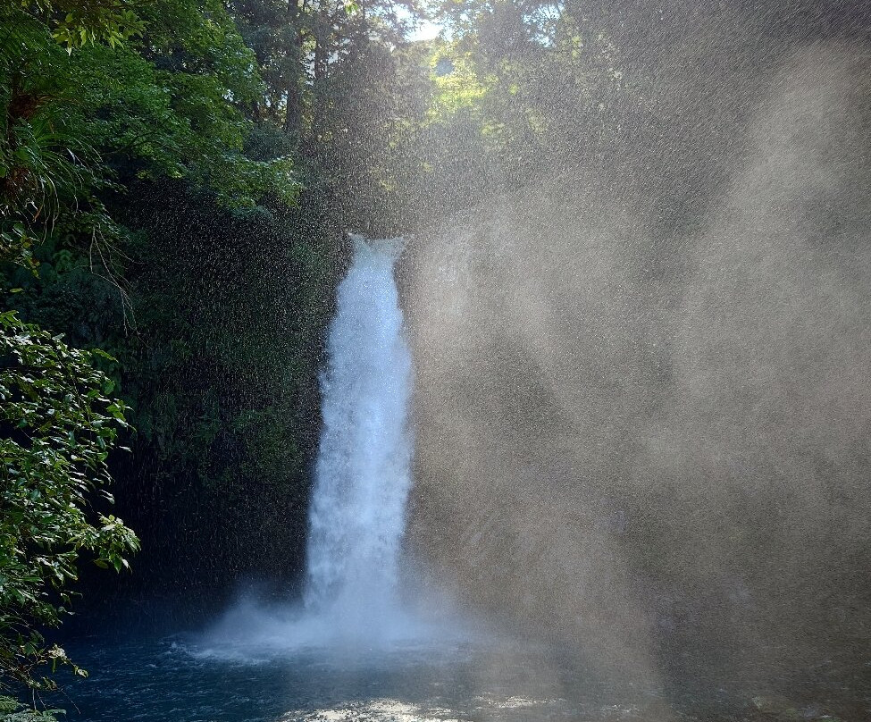 净莲瀑布-伊豆市必去景点