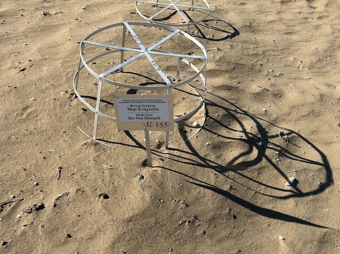 Petrides Rentals-Latchi必去景点