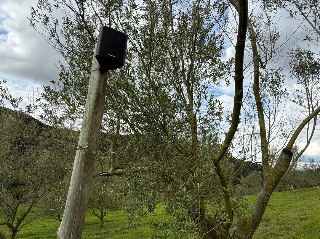 Magadu Olival-Maria da Fe必去景点