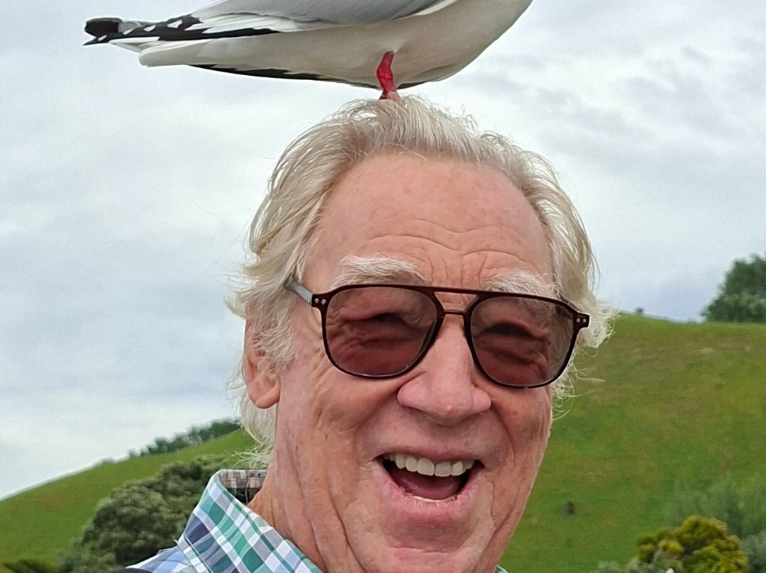 Dive Tatapouri-Gisborne Region必去景点