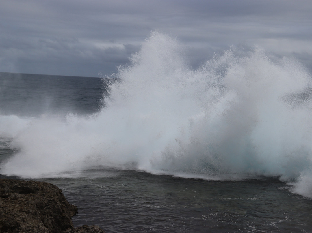 Mapu'a 'a Vaea Blowholes-Tongatapu Island必去景点
